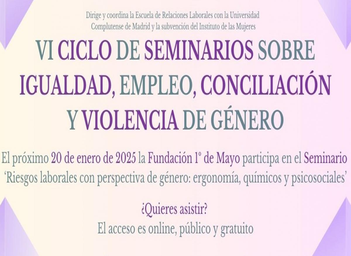 VI CICLO DE SEMINARIOS SOBRE IGUALDAD, EMPLEO, CONCILIACIN Y VIOLENCIA DE GNERO