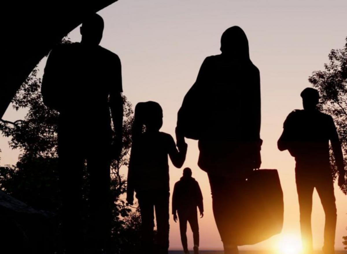 Seminario migraciones